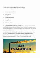 Page 11: project report on environmental pollution